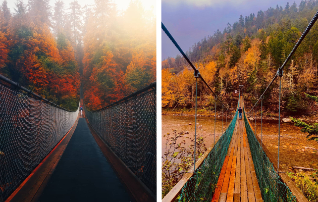 Cada semana Moviente monitor Puentes colgantes en Canadá ideales para apreciar los paisajes otoñales |  TorontoHispano.com